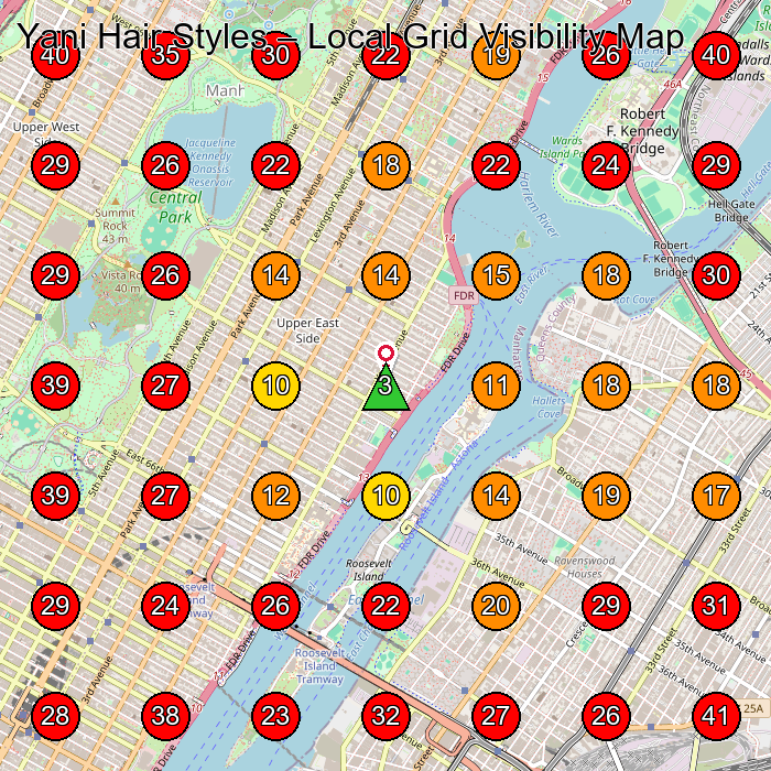 Yani Hair Styles GeoGrid visibility map for Hair Salon in New York